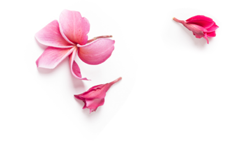history_flower