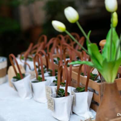 66Cottage จัดงานแต่งในสวน สวยๆ โดย ดีเคเทอริ่ง