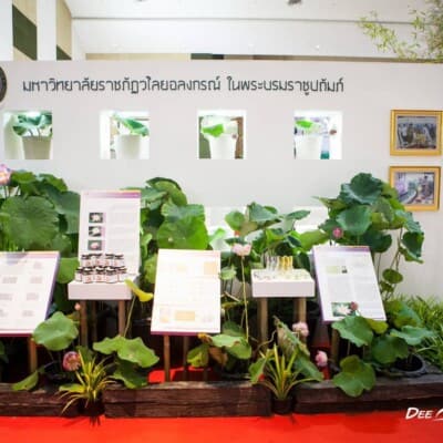 จัดเลี้ยง งานรับเสด็จ โดยดีเคเทอริ่ง บริการจัดเลี้ยง ระดับคุณภาพ